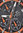 FIREFOX  - CHRONOGRAPH ZION - schwarz orange / 46 MM