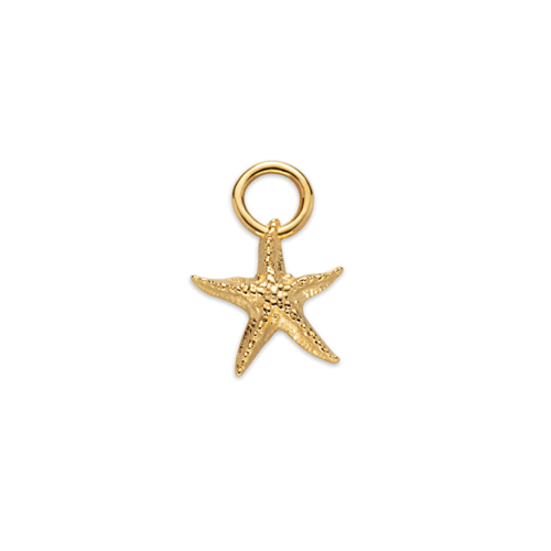PAUL HEWITT - ANHÄNGER - CHARM - Starfish -  gold